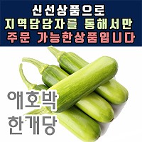 [낱개]애호박