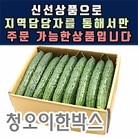 청오이