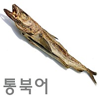 통북어