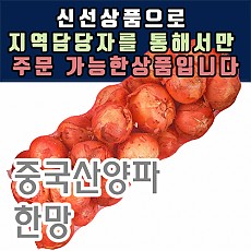 양파(중국산)