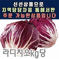 라디치오