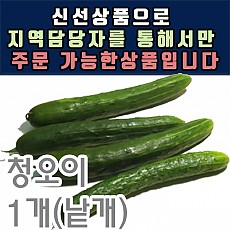 청오이