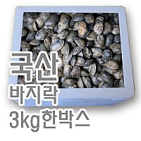 바지락생물(국산)