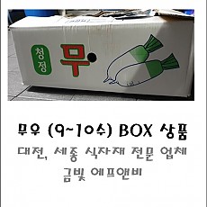 무우(9~10수)